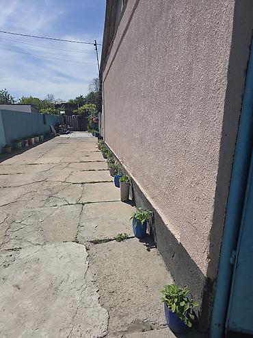 Продажа коттеджей и домов: Продаётся одноэтажный жилой дом с придомовым участком. Характеристики — 3