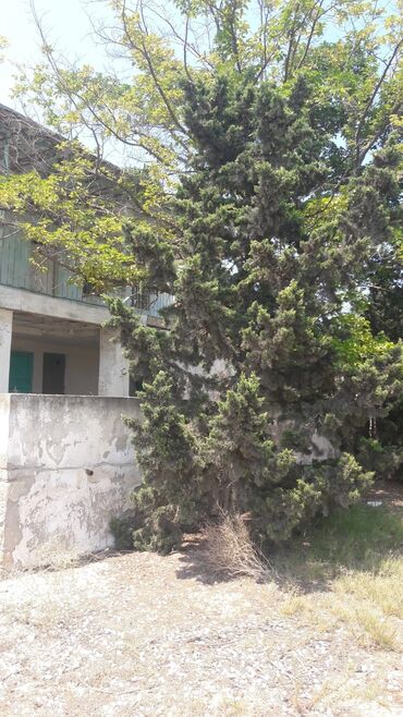 Torpaq sahələrinin satışı: 32 sot, Tikinti, Maklerlər narahat etməsin, Kupça (Çıxarış) — 13