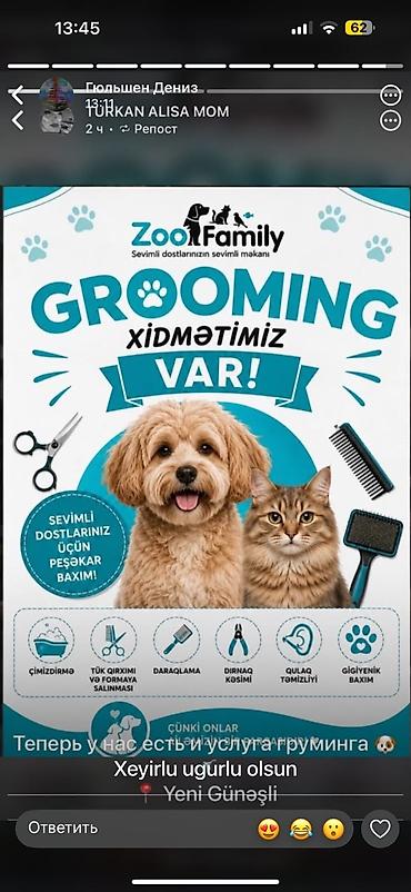Təmizlik xidmətləri: ZooFamily – itlərin və pişiklərin peşəkar grooming xidməti - — 1