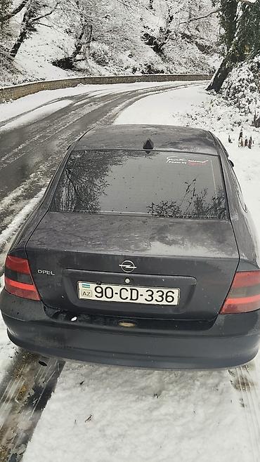 Avtomobil salonu üçün digər detallar: Opel Opel Vect, 1996 il, İşlənmiş -da lalafo.az — 11 Avtomobil salonu üçün digər detallar: Opel Opel Vect, 1996 il, İşlənmiş — 11