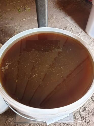 доставка продуктов питания на дом бишкек: Продаю натуральный мёд с сертификатом