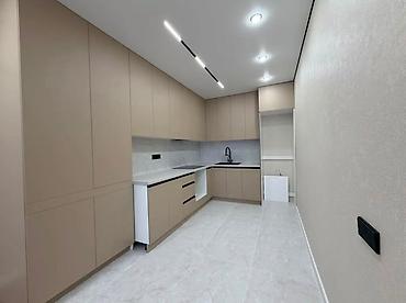 толстого: 2 комнаты, 55 м², ул. Лев Толстой Элитка, 6 этаж, Евроремонт — 8
