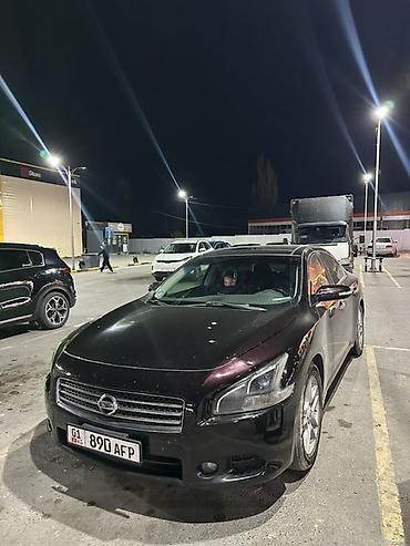 Продажа авто: Nissan Maxima: 2010 г., 3.5 л, Автомат, Бензин, Седан — 3