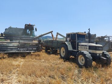 aqrar kend teserrufati texnika traktor satış bazari: Traktor LAMBO, İşlənmiş