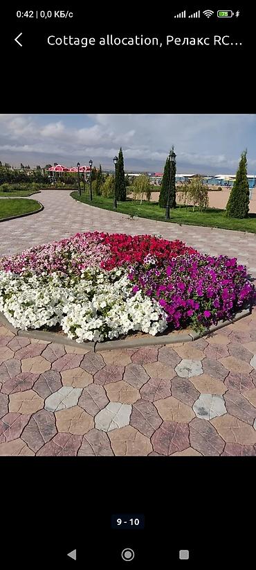 срубы: Коттедж, Радуга West, Кош-Кол, 6 мест — 2