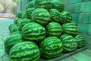 продажа продуктов питания: Арбузы В розницу, Бесплатная доставка