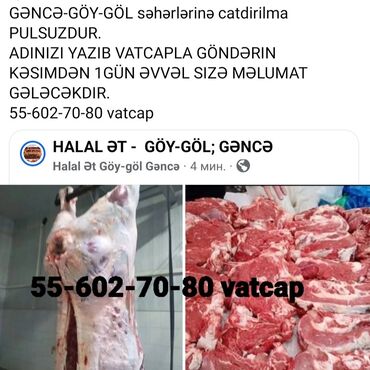 Digər qida məhsulları: HALAL ƏT - GÖY-GÖL; Gəncə. Gəncə və Göy-Göl şəhərlərinə çatdırılma