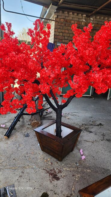 Декоративные цветы: Сакура искусственное дерево высота 2 м ширина 2 м цена от 1000 сом at lalafo.kg — 8 Декоративные цветы: Сакура искусственное дерево высота 2 м ширина 2 м цена от 1000 сом — 8