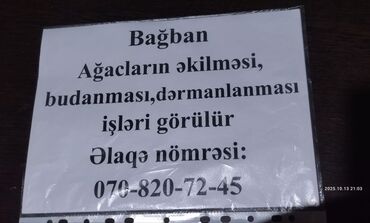 qarabağda iş vakansiyaları: Садовник требуется, Больше 6 лет опыта, Гибкий график, Полный рабочий день