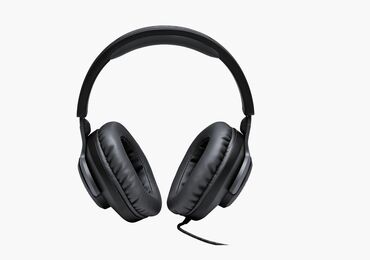 переходник для двух наушников: Наушники JBL QUANTUM 100 Черные, купил 5 дней назад в Asia Store, не