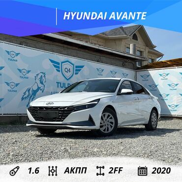 хендай i40: Hyundai Avante: 2020 г., 1.6 л, Автомат, Газ, Седан