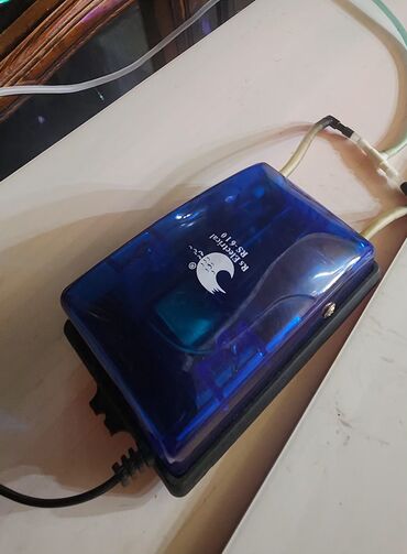 Akvariumlar: Dördbucaq akvarium, Balıqlarla birlikdə, 120 l — 20