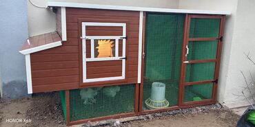 Yuvalar: Tuyuq yuvası Hin sifarişlə hazırlanması istənilən ölçüdə tam — 5