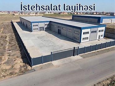 terea satisi: 50 sot, Kənd təsərrüfatı, Mülkiyyətçi, Kupça (Çıxarış) — 9
