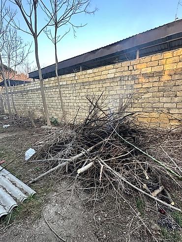 Landşaft işləri: Resulzade qesebesi pasyolka kirovda ne qeder isteyirsen odun var — 3