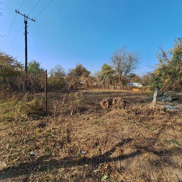 дома чалдовар: 4 соток, Курулуш, Кызыл китеп, Техпаспорт