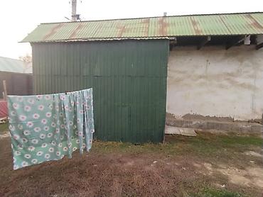 Продажа домов: 2 комнаты, 35 м², 400 соток, Калыс-ордо ж/м Электричество, Холодная вода, Септик — 4