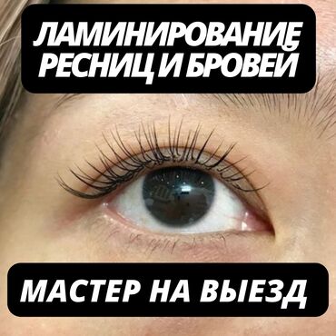 покраска бровей бесплатно: Ресницы | Ламинация, Пудровое напыление, Коррекция | 3D, Классика, 4D