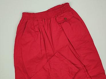 american eagle: Spodnie materiałowe damskie, rozmiar 2XL — 1