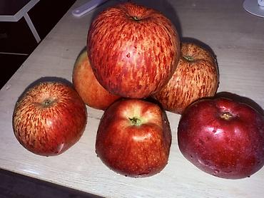Кургатылган жемиштер: Алмалар Дүң — 3