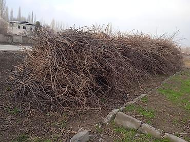 Дрова: Дрова — 4