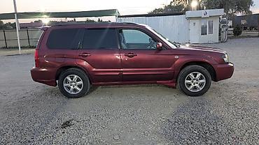 форестер 2006: Subaru Forester: 2002 г., 2 л, Автомат — 3