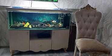 akvarium qızdırıcı: Dördbucaq akvarium, Boş, 300 l — 2