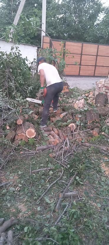 Спил деревьев, заготовка дров: Бак кыйабыз отун аралайбыз. ар кандай кыйынчылыктагы 24/7 чалып — 9