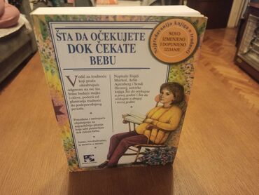 rolšue za devojčice: Naslov: Šta da očekujete dok čekate bebu Autor: Sendi Hetavej, Arlin