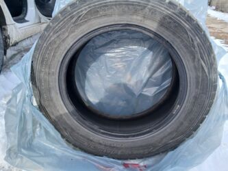грузовой балон: Шиналар 205 / 60 / R 16, Кыш, Колдонулган, Комплект, Жеңил унаалар, Dunlop