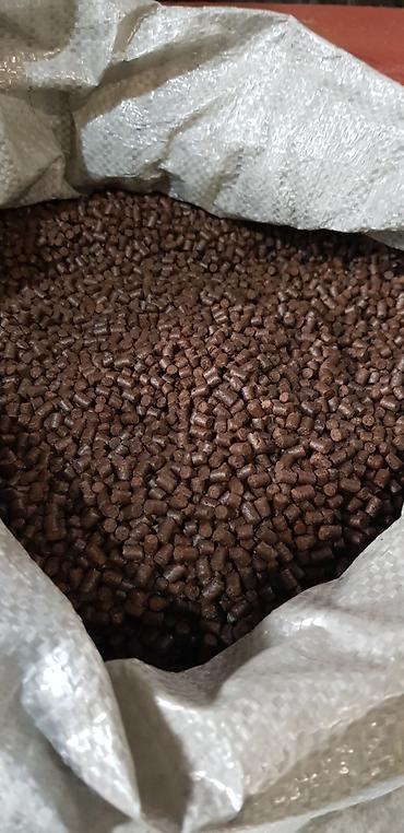 Товары и оборудование для с/х животных: ГРАНУЛЯТОРЫ ИЗГОТОВЛЕНИЕ ПОД ЗАКАЗ — 11