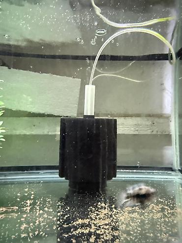 akvarium isiqlari: Dördbucaq akvarium, Boş, 190 l, Ünvandan götürmə — 4
