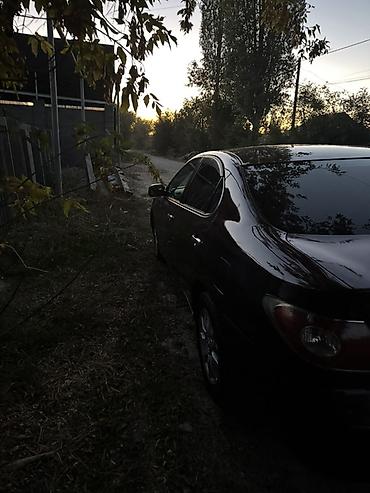 camry 2 4: Toyota Windom: 2003 г., 3 л, Автомат, Седан — 5