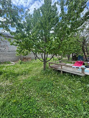 Продажа коттеджей и домов: Срочно ‼️ В продаже участок с домом ▪️Адрес: Арча Бешик ▪️Площадь — 3