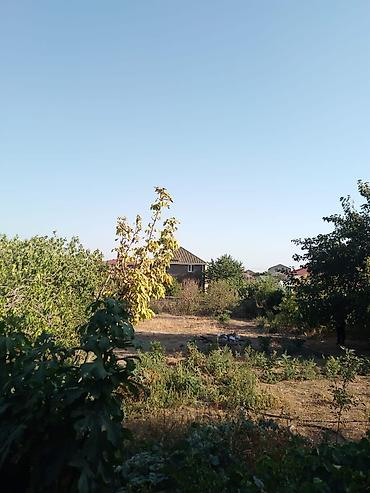 mingecevirde torpaq satisi: 10 sot, Tikinti, Mülkiyyətçi, Kupça (Çıxarış) — 4