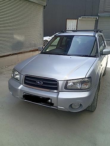 субару аутбэк 2006: Subaru Forester: 2004 г., 2 л, Автомат, Бензин, Кроссовер — 1