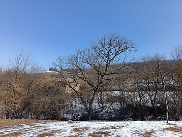 Torpaq sahələrinin satışı: 100 sot, Mülkiyyətçi, Bələdiyyə — 3