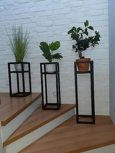 Полки, этажерки для цветов: Полка, этажерка для цветов, Железо — 4