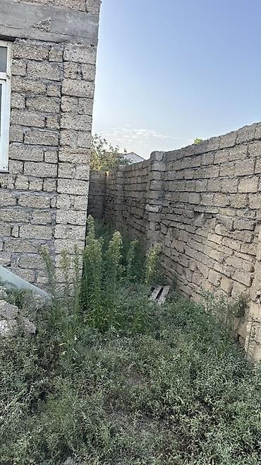 hazir ipotekada olan evler 2023: Binede 3 sotun icinde ev satilir qazi var suyu var isigi var 7 das — 5