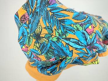 bape klapki: Bluza z kapturem damska, rozmiar M — 6