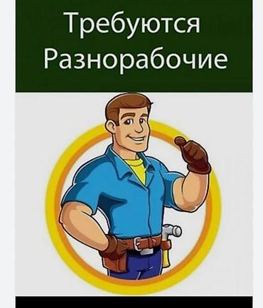 Требуется Разнорабочий, Оплата: Каждые 10 дней, Без опыта