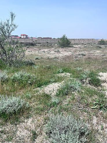 tecili satilan ucuz evler 2025: 4 sot, Kənd təsərrüfatı, Barter mümkündür, Kupça (Çıxarış) — 8