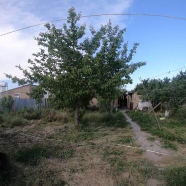 Həyət evləri və villaların satışı: 2 otaqlı, 60 kv. m, Kredit yoxdur, Orta təmir — 13