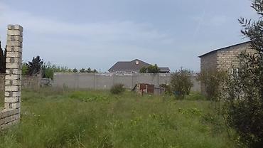 goradil torpaq satisi: 9 sot, Tikinti, Mülkiyyətçi, Kupça (Çıxarış) — 4