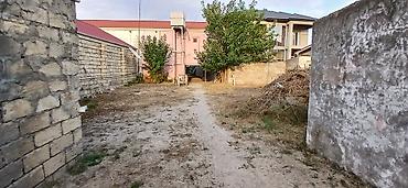 müşfiqabad ev satışı: 12 sot həyət, həyətin iki fərqli yola çıxışı var Əsas yoldan 100 metr — 2