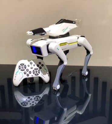 Oyuncaqlar: Çoxfunksiyalı Minaaxtaran it robotu ✅ Telefonla və ya Pultla idarə