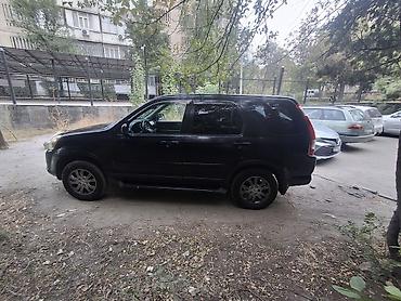 cl 7: Honda CR-V: 2005 г., 2.4 л, Автомат, Газ, Кроссовер — 1