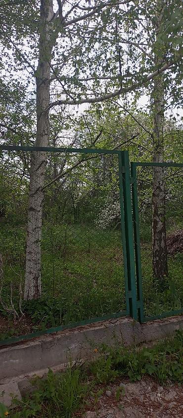 выход к речке: 6 соток, Красная книга — 1