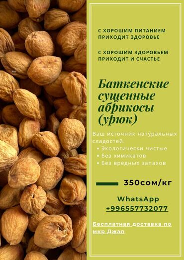 сухой поек: Баткендин таза кургатылган өрүгү: ❇️ Даарыланбаган, таза💯 ❇️ Өтө