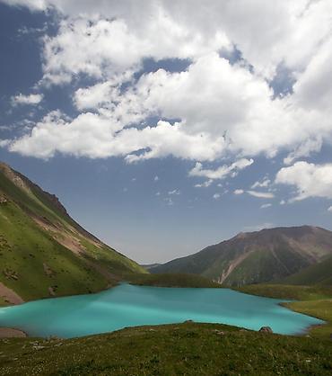 отдых на ысык кол: 6 соток, Бизнес үчүн, Кызыл китеп — 4